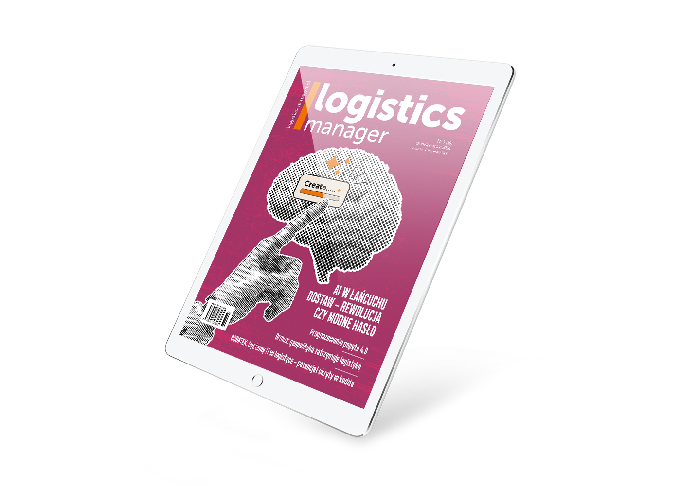 Logistics Manager - zdjęcie produktu