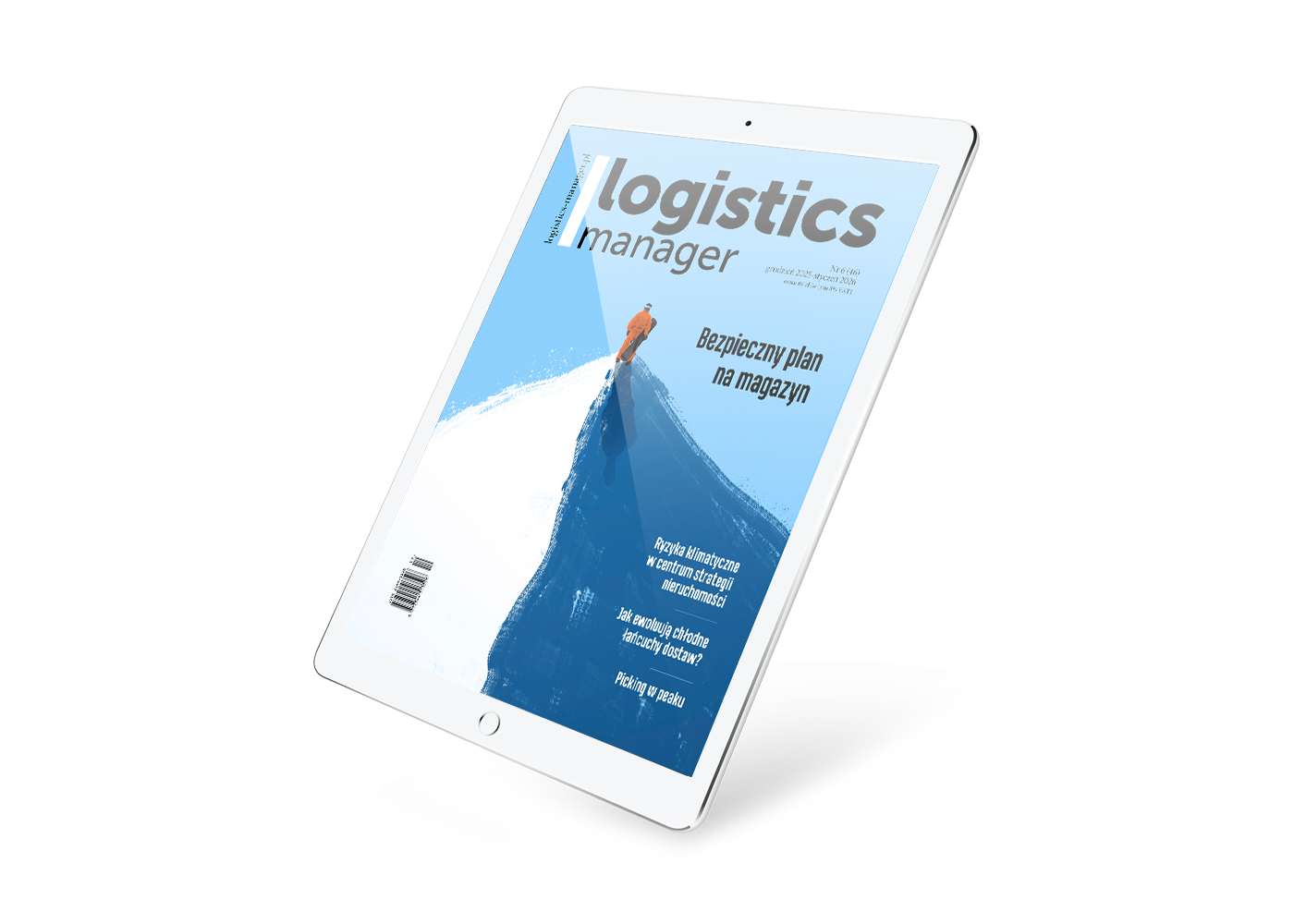 Logistics Manager - zdjęcie produktu